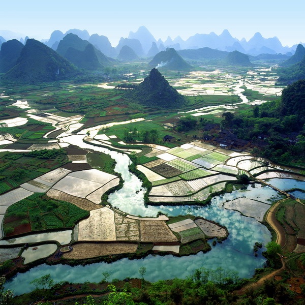 Yangshuo rice fields